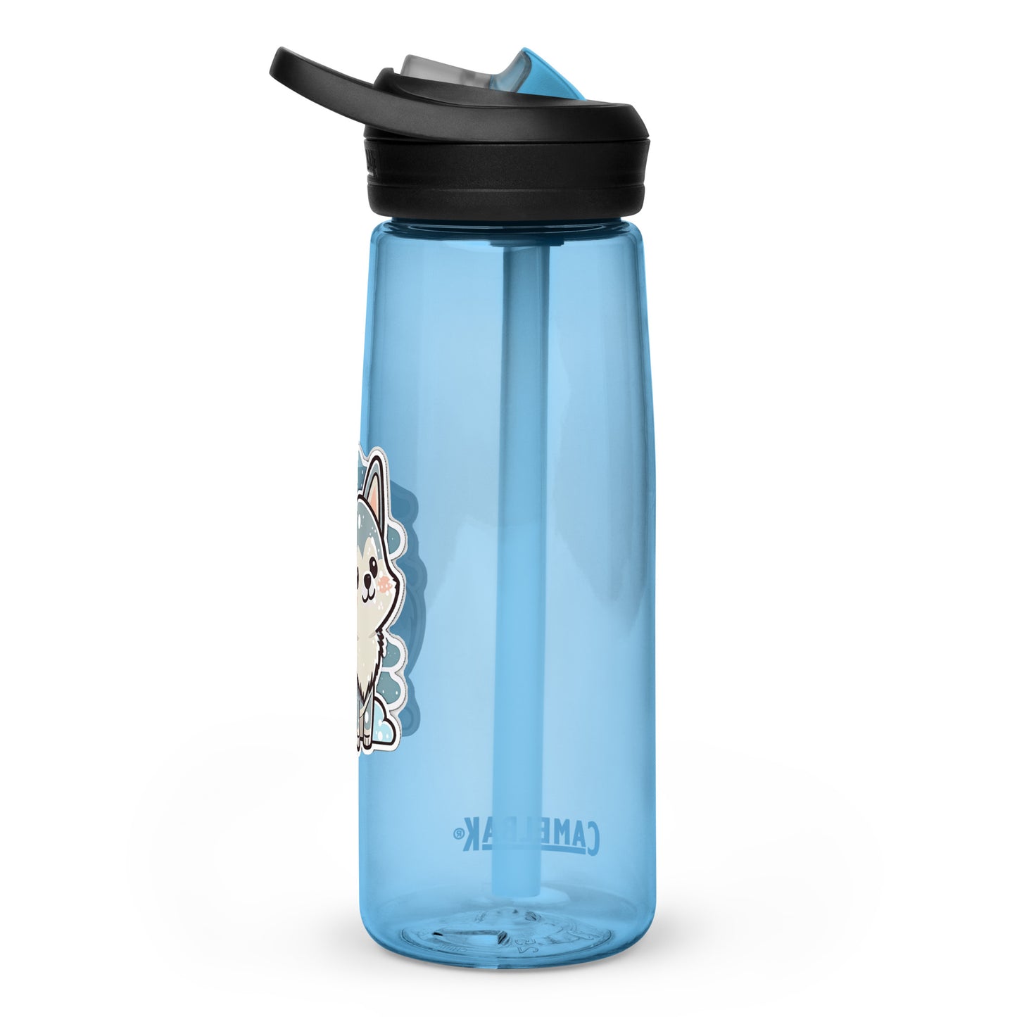 Sports water bottle