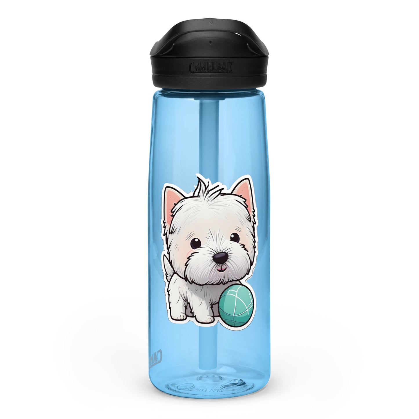 Alfie 25oz Sports water bottle