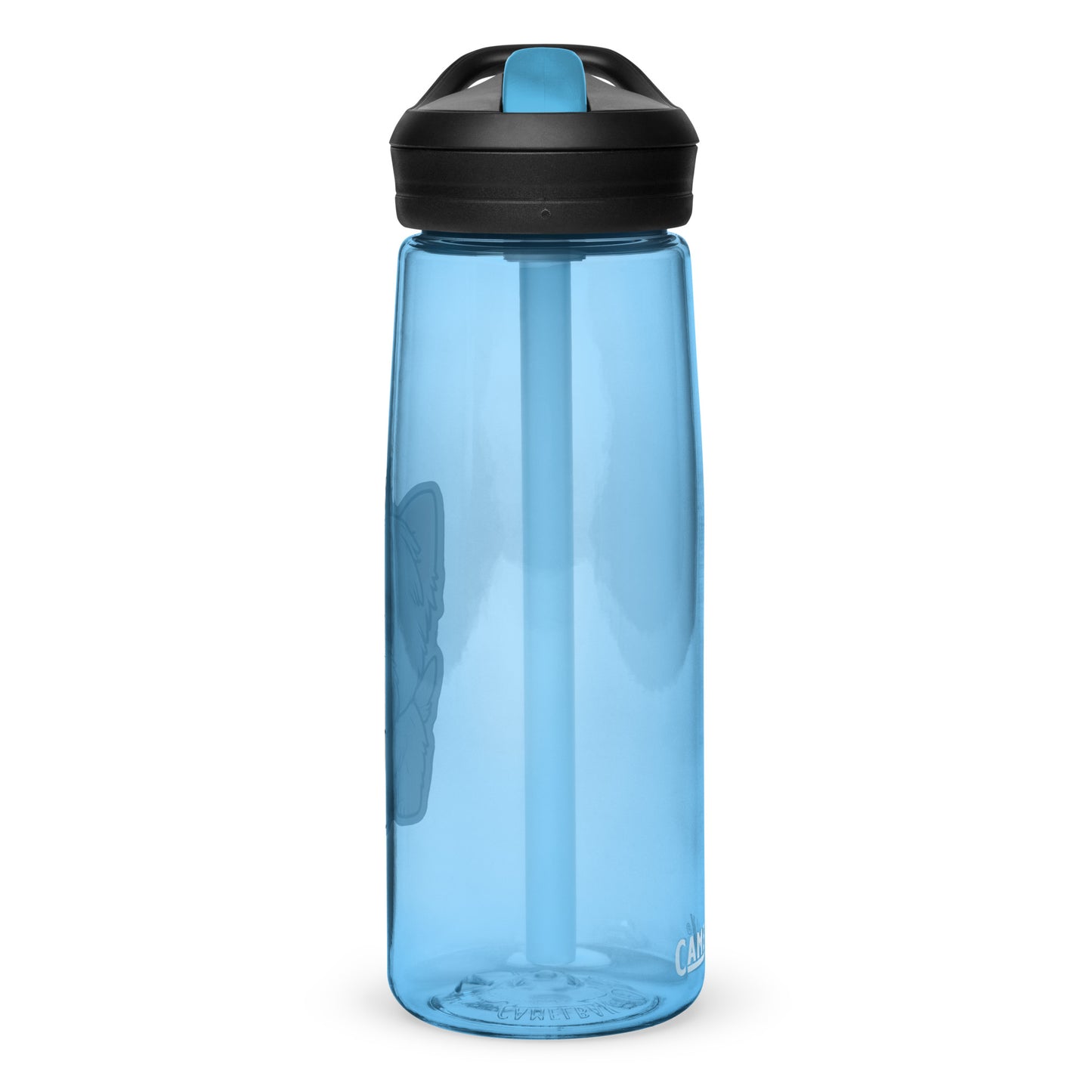 Alfie 25oz Sports water bottle