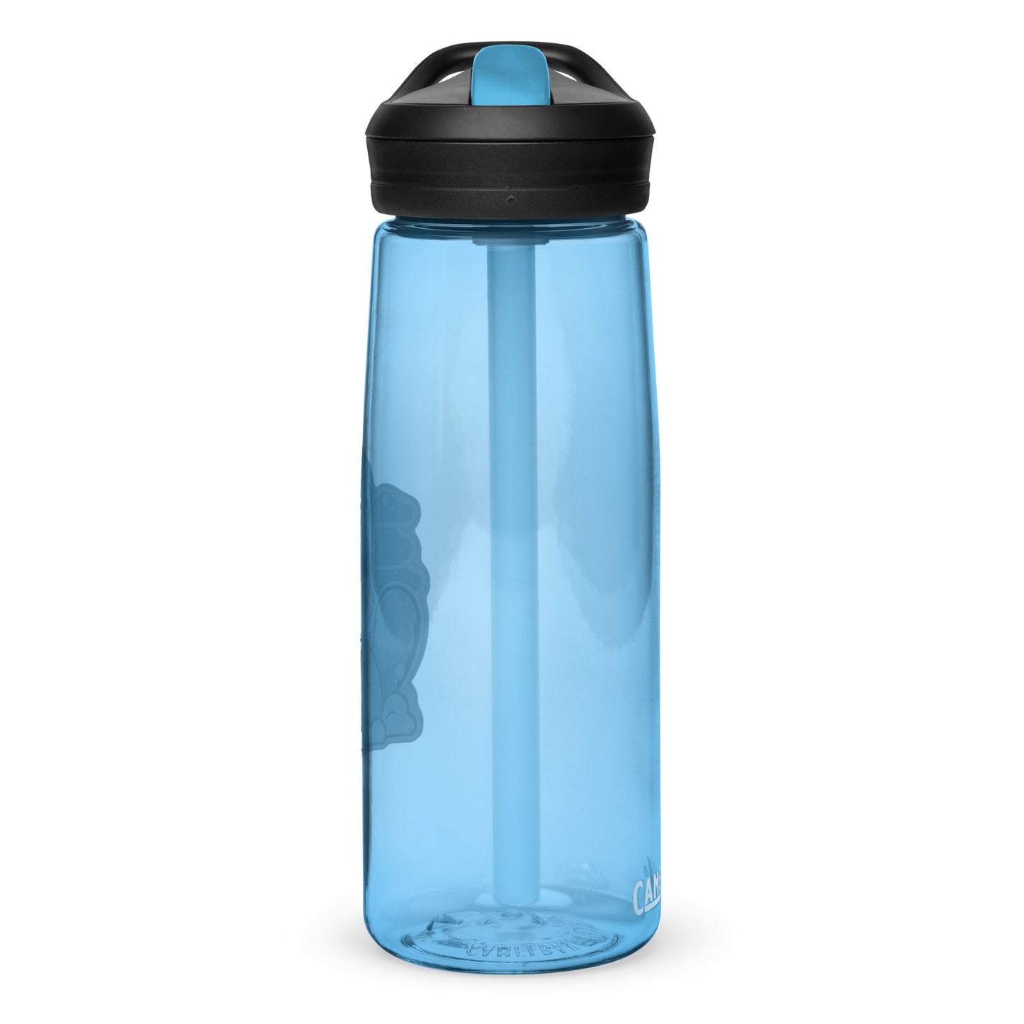 Sports water bottle