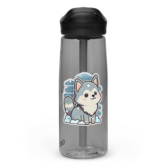 Sports water bottle