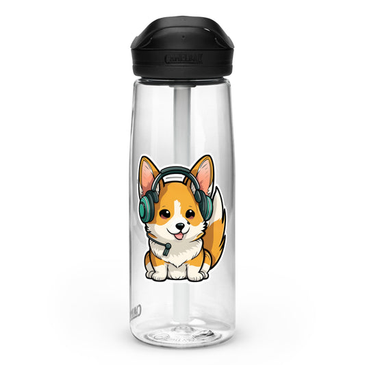 Sports water bottle