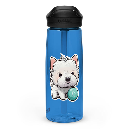 Alfie 25oz Sports water bottle